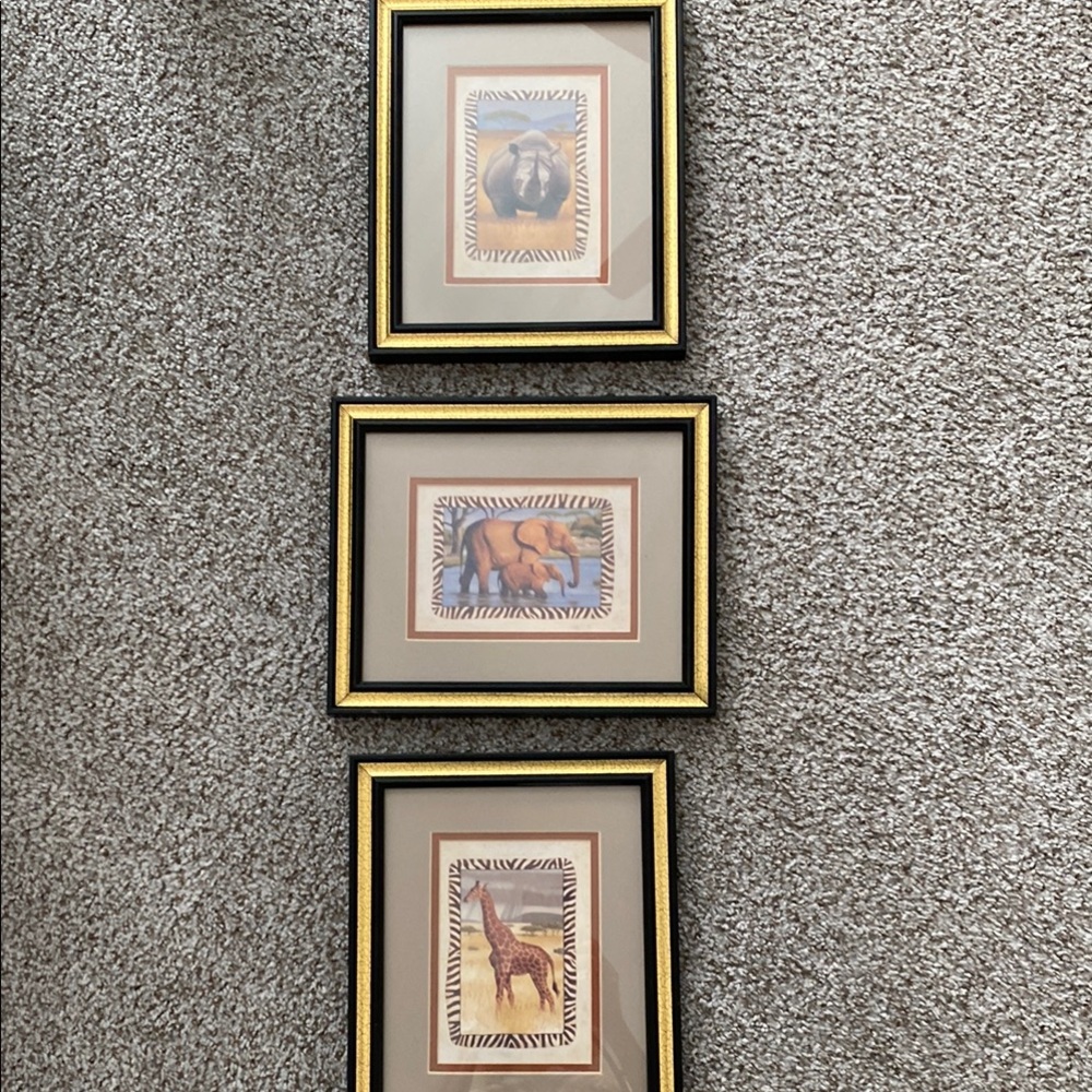Framed Rhino Art with Zebra Print Border